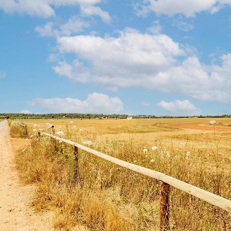 Possessio Sa Barrala Gallinero Campos Kültér fotó